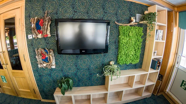 Лесная гостинная