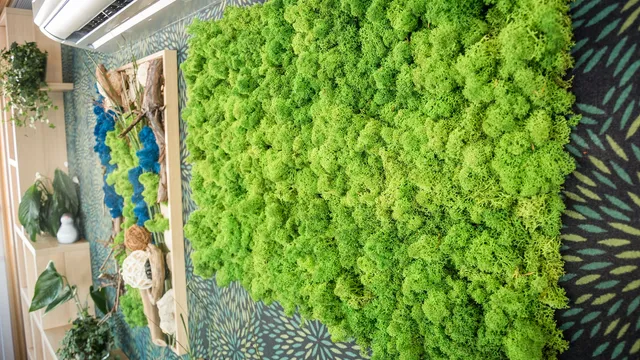 Лесная гостинная