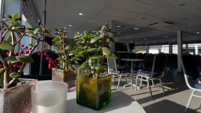 Конференц-зал/Бар Ладога