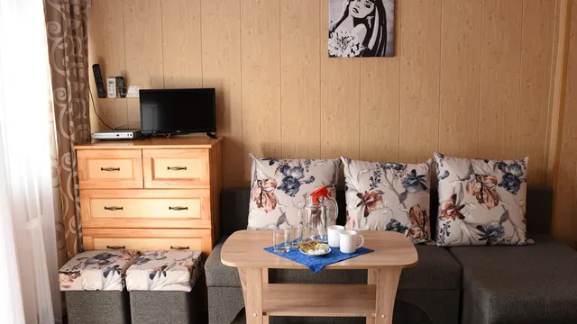 Каюта люкс  Теплохода Бородино